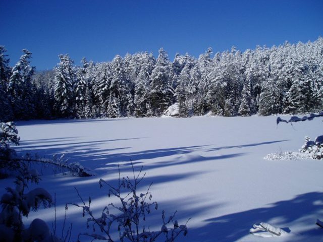 photo of Lake Temagami
